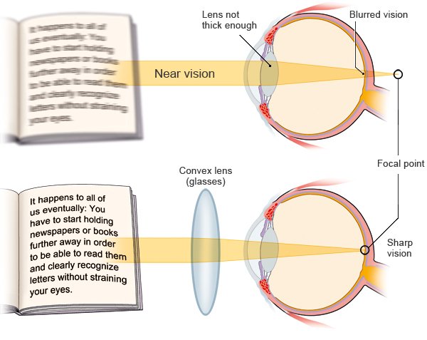 1.25 reading glasses